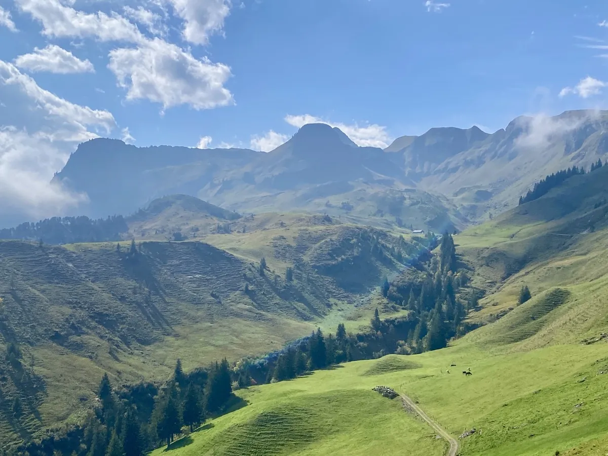 Broad green alpine landscape under a blue sky