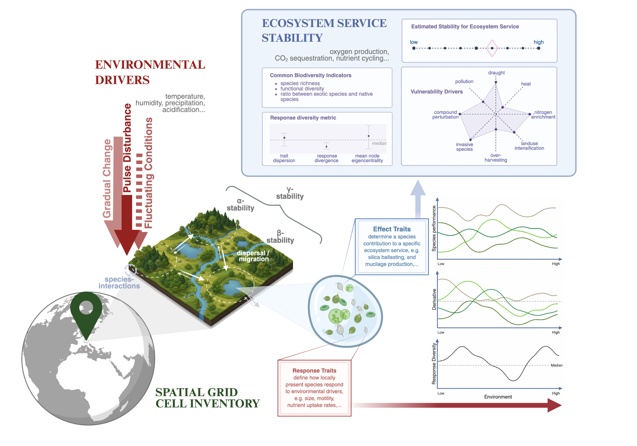 Conceptual diagram linking environmental drivers, response traits, effect traits and response diversity to estimates of ecosystem-service stability