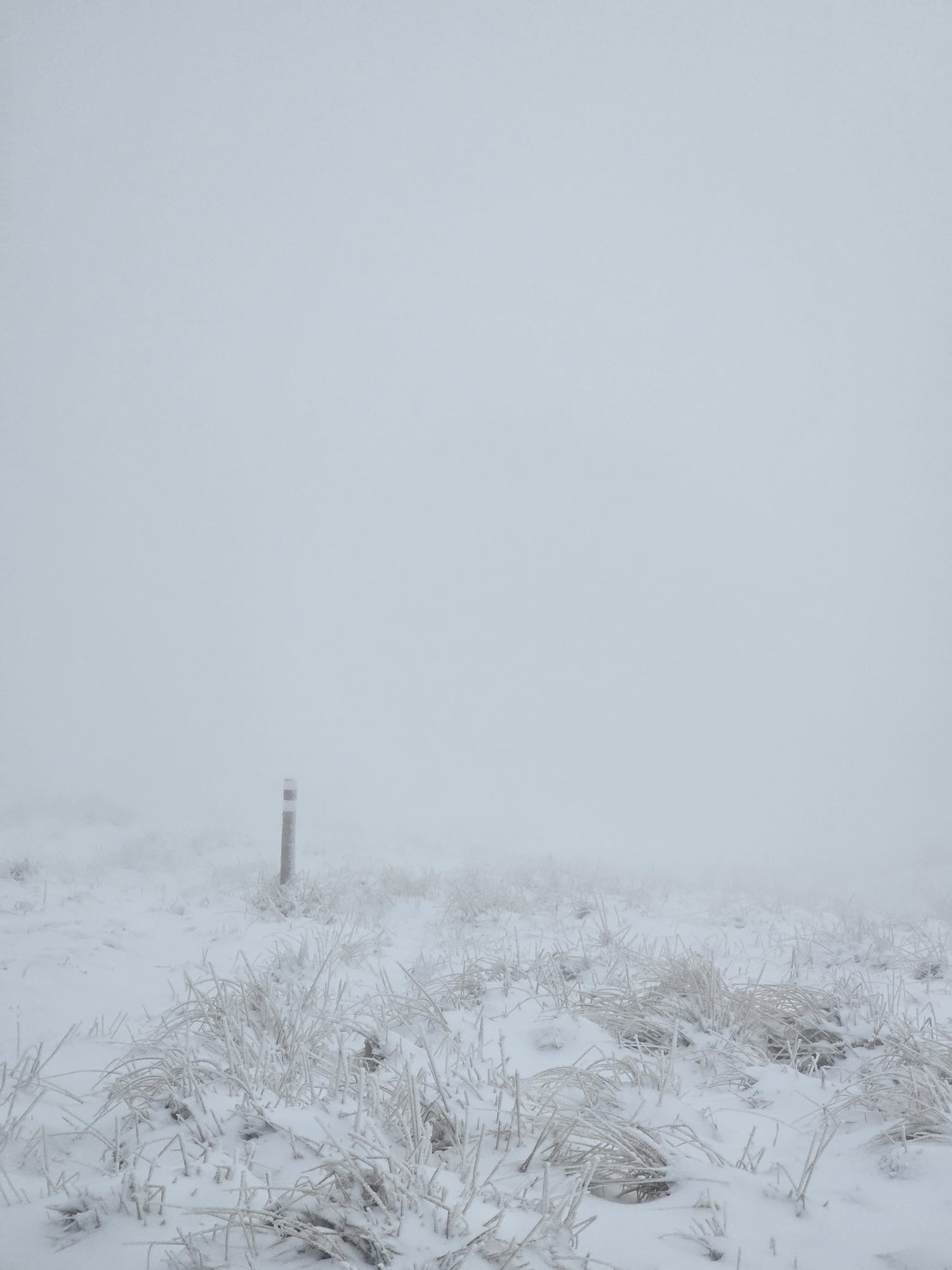 Snow-covered ground disappearing into dense fog on Mount Rigi